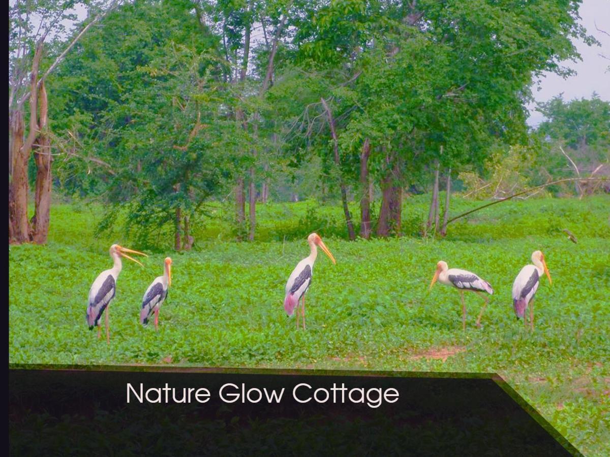 Nature Glow Cottage Udawalawe Eksteriør billede