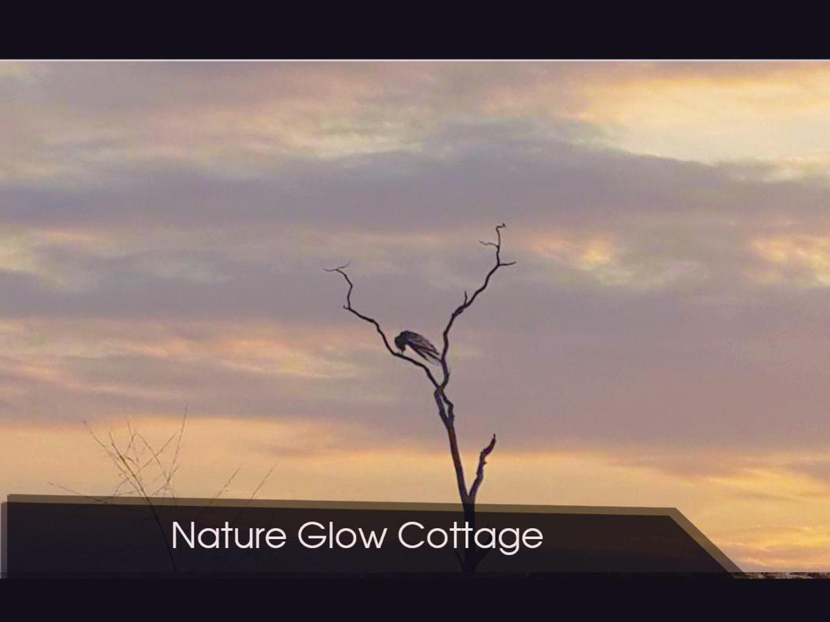 Nature Glow Cottage Udawalawe Eksteriør billede